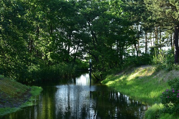 Alimentation et activités sportives pendant la grossesse